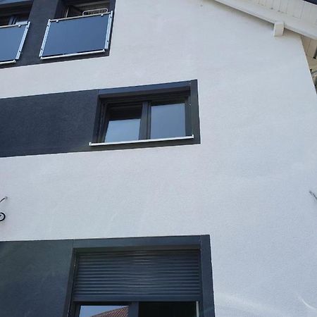 Bodensee Manolya Friedrichshafen Exteriér fotografie